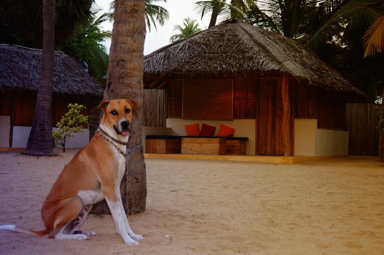 Sandy Edge Kalpitiya Ngoại thất bức ảnh